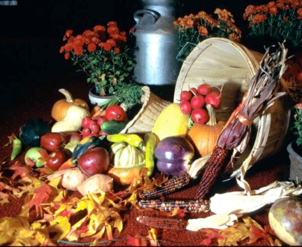 thanksgiving