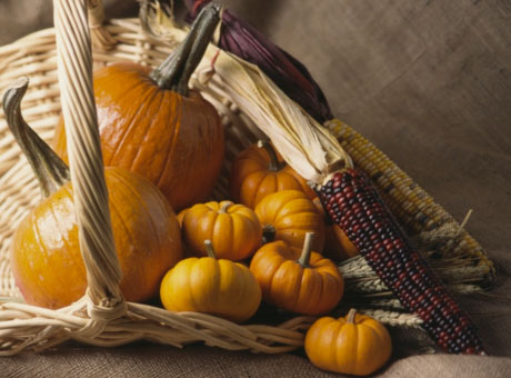 pumpkins